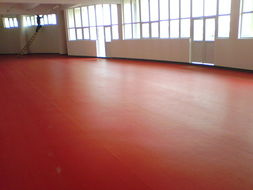 石家莊、唐山、秦皇島、邯鄲、邢臺(tái)PVC塑膠地板供應(yīng) 專業(yè)運(yùn)動(dòng)場(chǎng)地解決方案